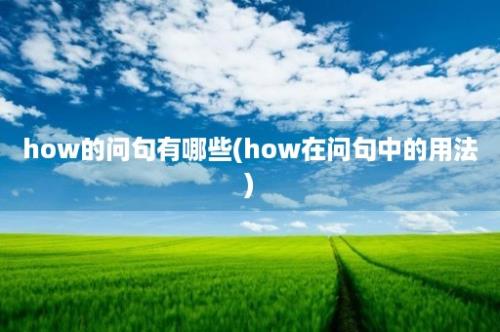 how的问句有哪些(how在问句中的用法)