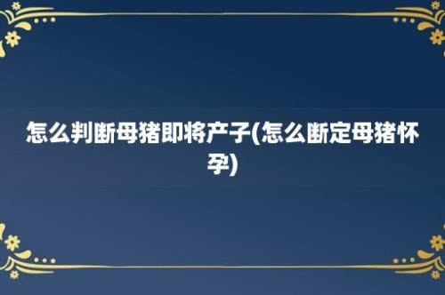 怎么判断母猪即将产子(怎么断定母猪怀孕)