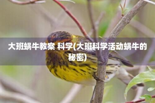 大班蜗牛教案 科学(大班科学活动蜗牛的秘密)