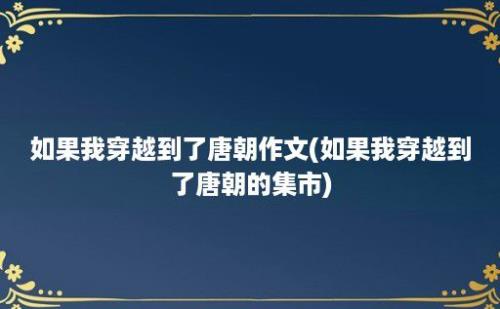 如果我穿越到了唐朝作文(如果我穿越到了唐朝的集市)