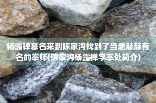 杨露禅慕名来到陈家沟找到了当地赫赫有名的拳师(陈家沟杨露禅学拳处简介)