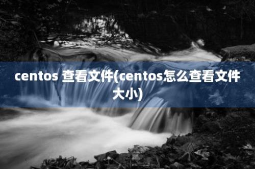 centos 查看文件(centos怎么查看文件大小)