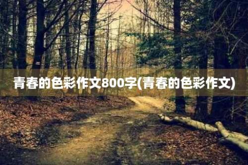 青春的色彩作文800字(青春的色彩作文)