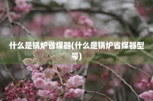 什么是锅炉省煤器(什么是锅炉省煤器型号)