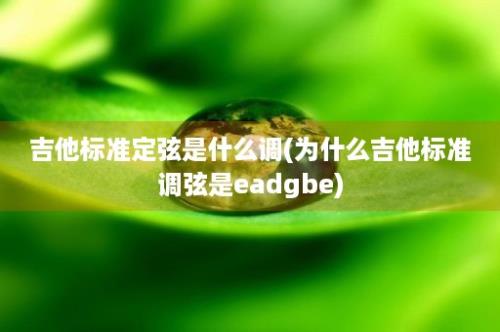 吉他标准定弦是什么调(为什么吉他标准调弦是eadgbe)