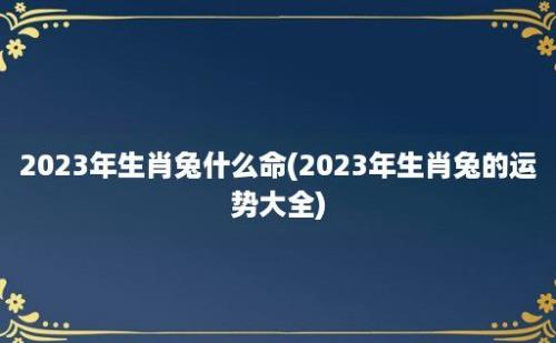 2023年生肖兔什么命(2023年生肖兔的运势大全)