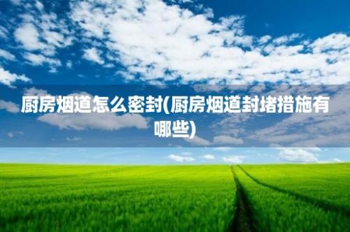 厨房烟道怎么密封(厨房烟道封堵措施有哪些)