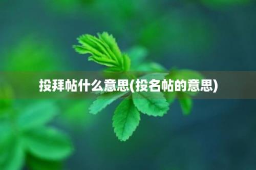 投拜帖什么意思(投名帖的意思)