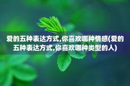 爱的五种表达方式,你喜欢哪种情感(爱的五种表达方式,你喜欢哪种类型的人)