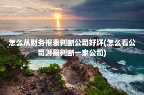 怎么从财务报表判断公司好坏(怎么看公司财报判断一家公司)