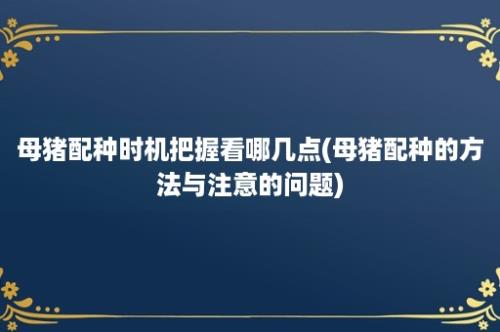 母猪配种时机把握看哪几点(母猪配种的方法与注意的问题)