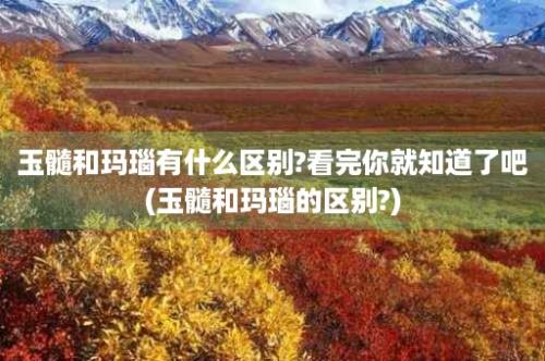 玉髓和玛瑙有什么区别?看完你就知道了吧(玉髓和玛瑙的区别?)