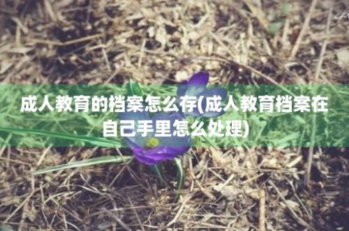 成人教育的档案怎么存(成人教育档案在自己手里怎么处理)