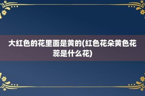 大红色的花里面是黄的(红色花朵黄色花蕊是什么花)