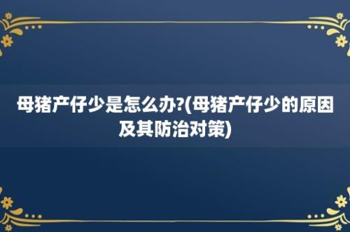 母猪产仔少是怎么办?(母猪产仔少的原因及其防治对策)