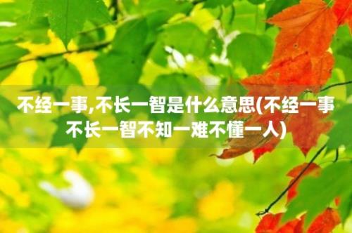 不经一事,不长一智是什么意思(不经一事不长一智不知一难不懂一人)