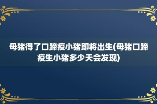 母猪得了口蹄疫小猪即将出生(母猪口蹄疫生小猪多少天会发现)