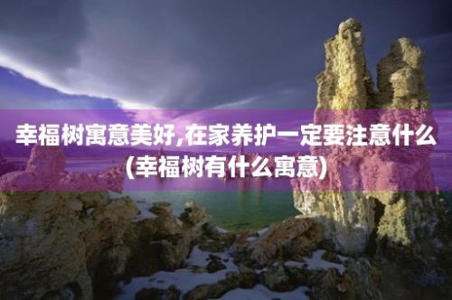 幸福树寓意美好,在家养护一定要注意什么(幸福树有什么寓意)