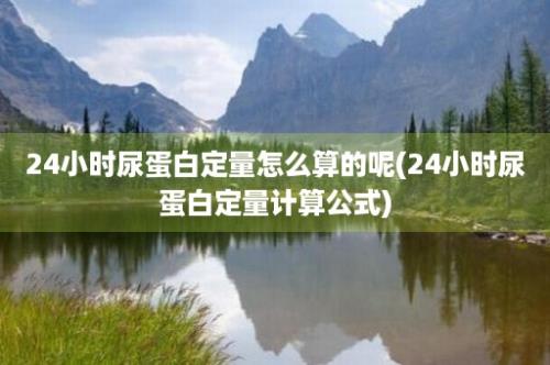 24小时尿蛋白定量怎么算的呢(24小时尿蛋白定量计算公式)