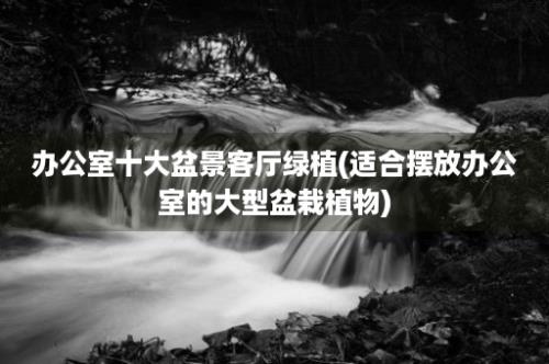 办公室十大盆景客厅绿植(适合摆放办公室的大型盆栽植物)