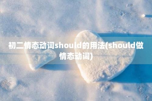 初二情态动词should的用法(should做情态动词)