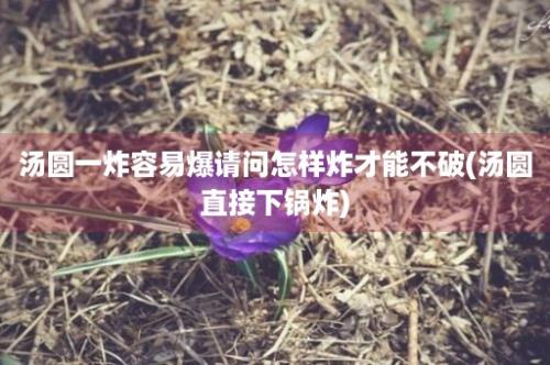 汤圆一炸容易爆请问怎样炸才能不破(汤圆直接下锅炸)