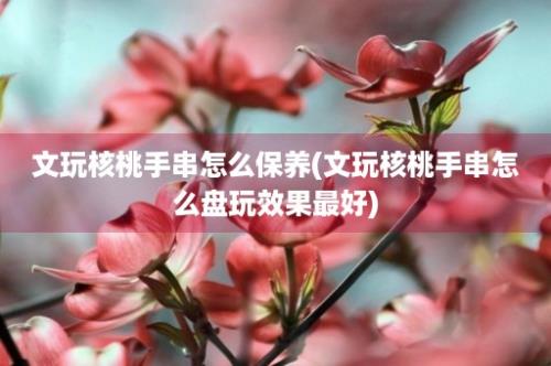 文玩核桃手串怎么保养(文玩核桃手串怎么盘玩效果最好)