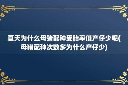 夏天为什么母猪配种受胎率低产仔少呢(母猪配种次数多为什么产仔少)