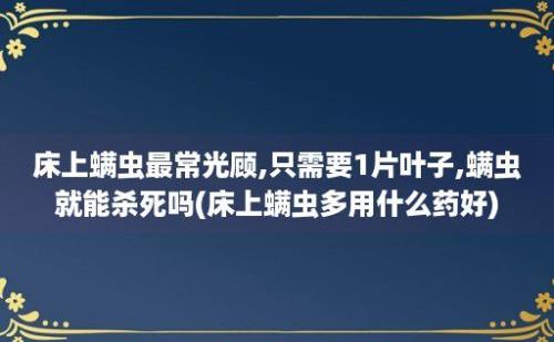 床上螨虫最常光顾,只需要1片叶子,螨虫就能杀死吗(床上螨虫多用什么药好)