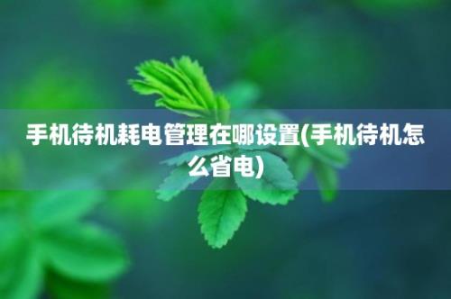 手机待机耗电管理在哪设置(手机待机怎么省电)