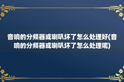 音响的分频器或喇叭坏了怎么处理好(音响的分频器或喇叭坏了怎么处理呢)