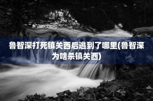 鲁智深打死镇关西后逃到了哪里(鲁智深为啥杀镇关西)