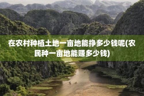 在农村种植土地一亩地能挣多少钱呢(农民种一亩地能赚多少钱)