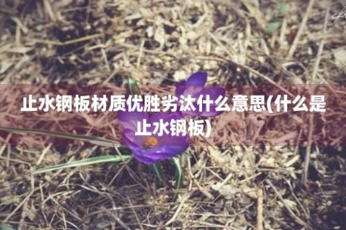 止水钢板材质优胜劣汰什么意思(什么是止水钢板)