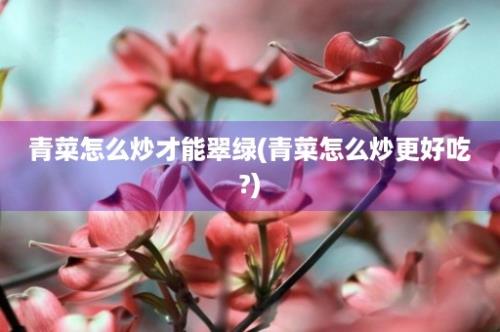 青菜怎么炒才能翠绿(青菜怎么炒更好吃?)