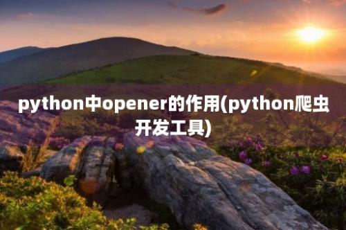 python中opener的作用(python爬虫开发工具)