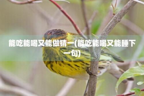 能吃能喝又能做猜一(能吃能喝又能睡下一句)