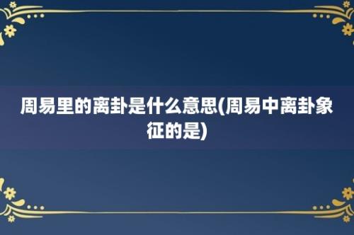 周易里的离卦是什么意思(周易中离卦象征的是)