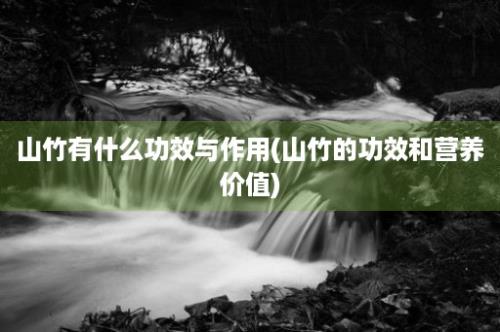 山竹有什么功效与作用(山竹的功效和营养价值)