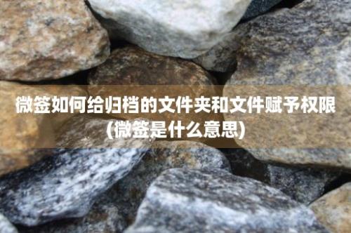 微签如何给归档的文件夹和文件赋予权限(微签是什么意思)