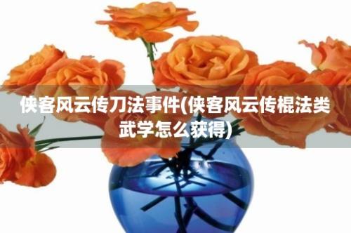 侠客风云传刀法事件(侠客风云传棍法类武学怎么获得)