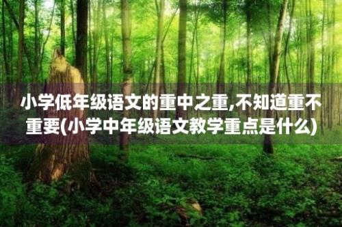 小学低年级语文的重中之重,不知道重不重要(小学中年级语文教学重点是什么)