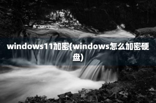 windows11加密(windows怎么加密硬盘)