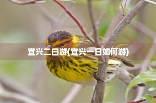 宜兴二曰游(宜兴一日如何游)