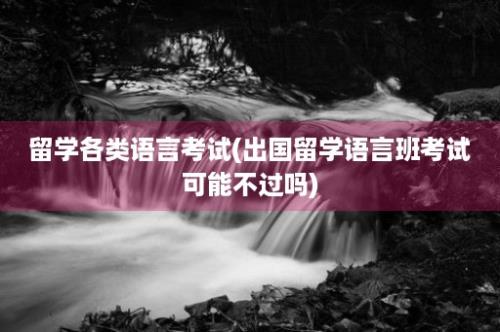 留学各类语言考试(出国留学语言班考试可能不过吗)