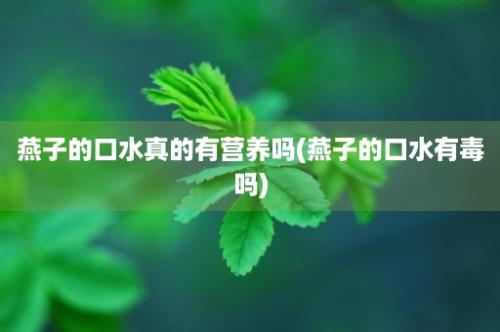 燕子的口水真的有营养吗(燕子的口水有毒吗)