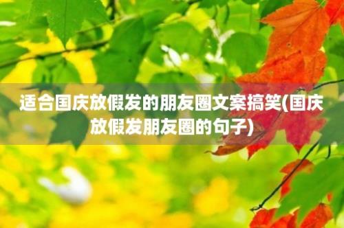 适合国庆放假发的朋友圈文案搞笑(国庆放假发朋友圈的句子)