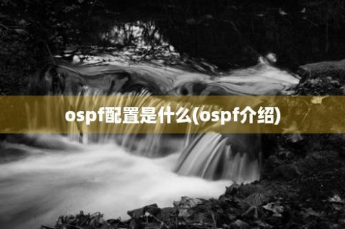 ospf配置是什么(ospf介绍)