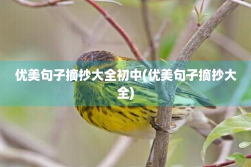 优美句子摘抄大全初中(优美句子摘抄大全)