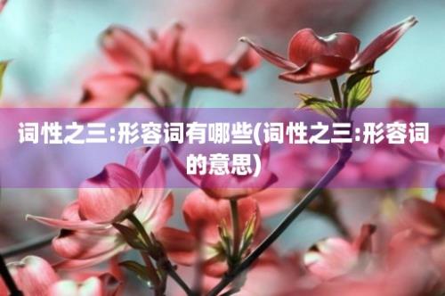 词性之三:形容词有哪些(词性之三:形容词的意思)